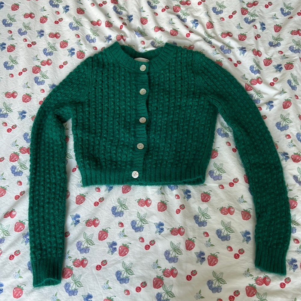 Green Aritzia mohair cardigan